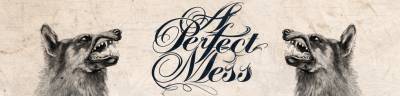 logo A Perfect Mess